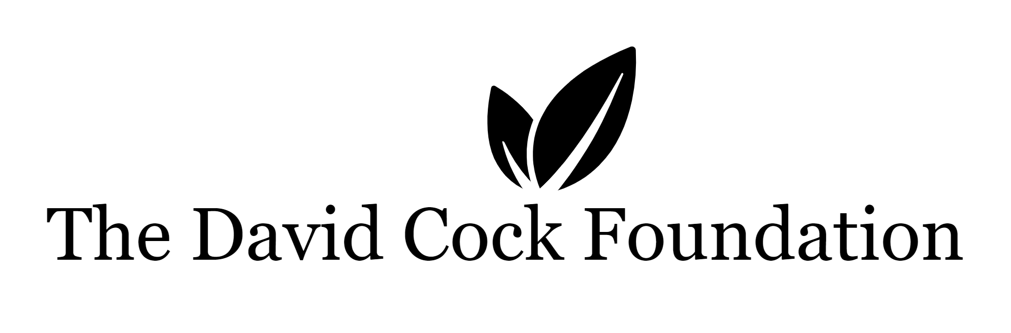The-David-Cock-Foundation-logo-